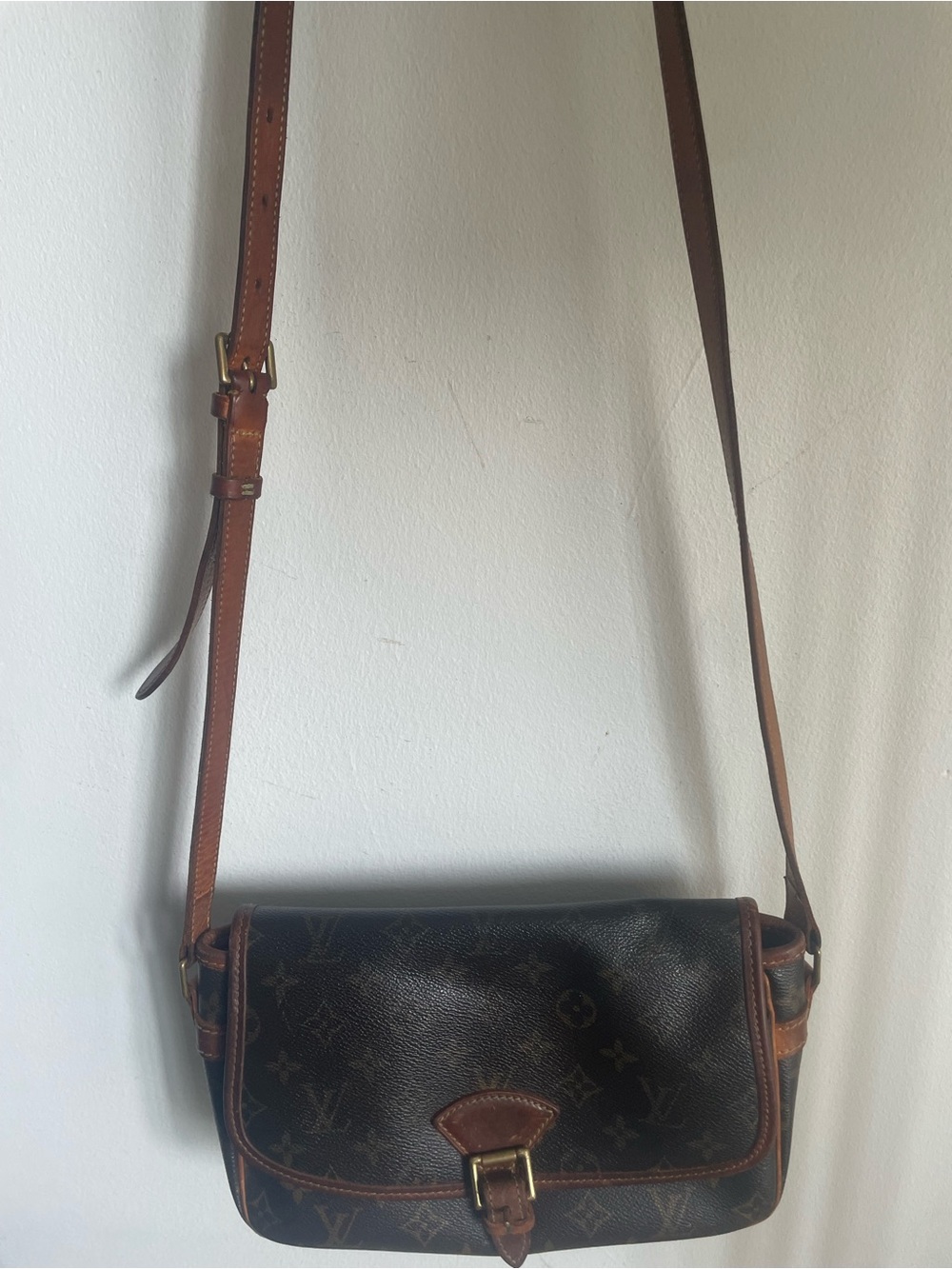 Louis Vuitton Monogram Interior Detail in Brown and Tan